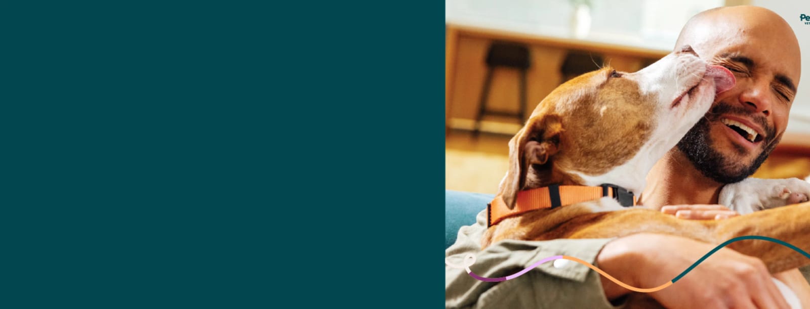 Man laughing as a brown and white dog licks his face, beside a plain dark teal panel