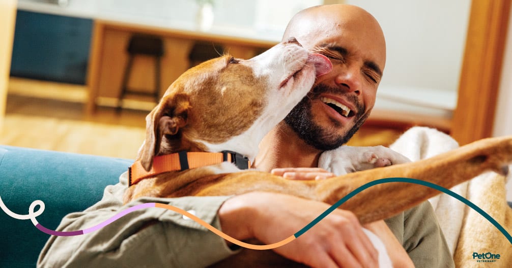 Tender Touch Animal Hospital - Denver
