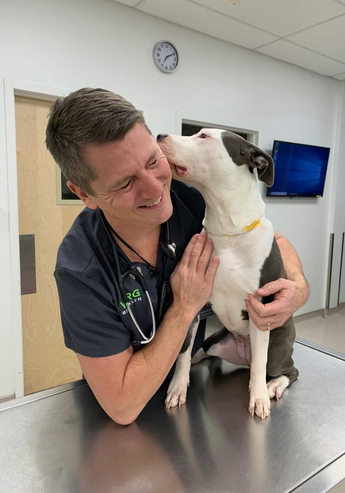 Smiling person in dark scrubs leaning on a metal table as a white and grey dog nuzzles their face