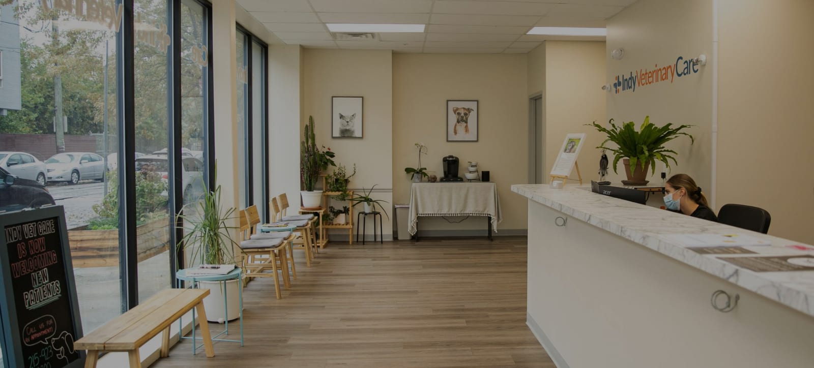 Waiting area with wooden benches and a reception counter at Indy Veterinary Care