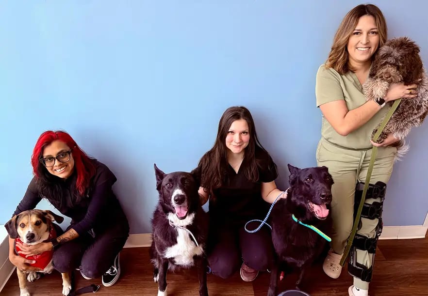 Three people posing with four dogs in front of a light blue wall