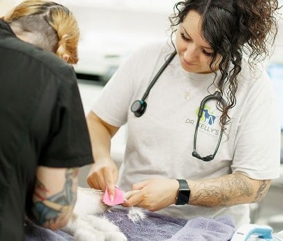 Two people examining a fluffy white animal on a table covered with a purple towel