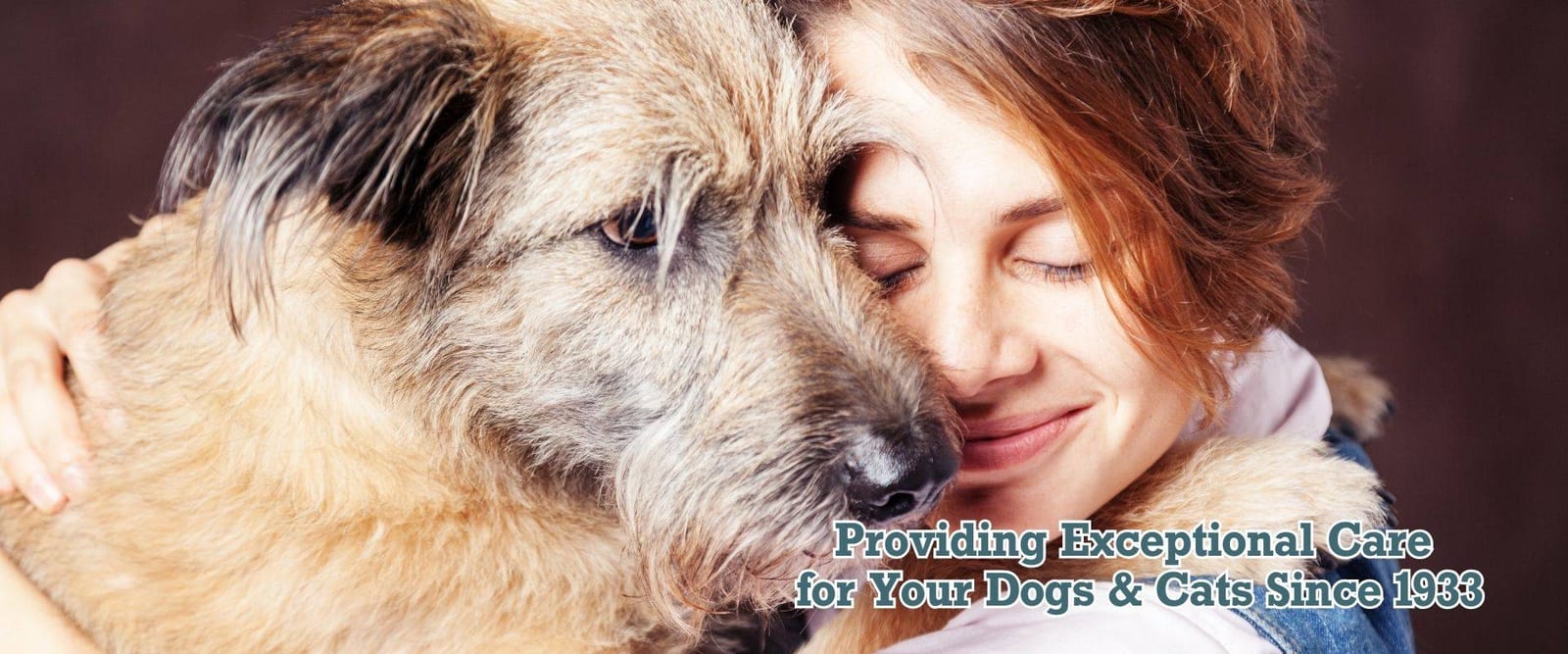 Banner of a person hugging a shaggy tan dog with the text Providing Exceptional Care for Your Dogs & Cats