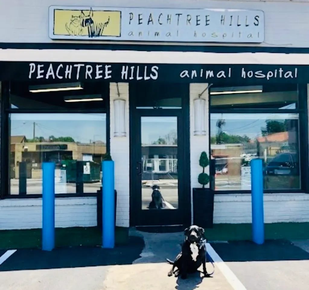Peachtree Hills Animal Hospital - Atlanta