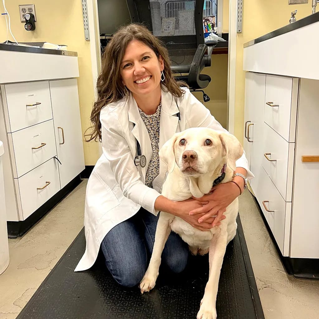 Person in a white coat kneeling beside a white dog on a black mat at Peachtree Hills Animal Hospital