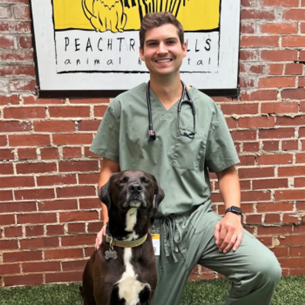 Smiling person in green scrubs kneeling beside a brown and white dog in front of a brick wall