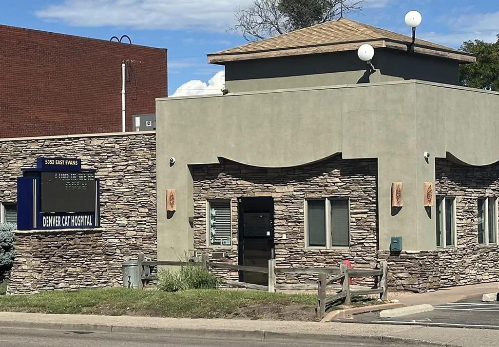 Denver Cat Hospital - Denver