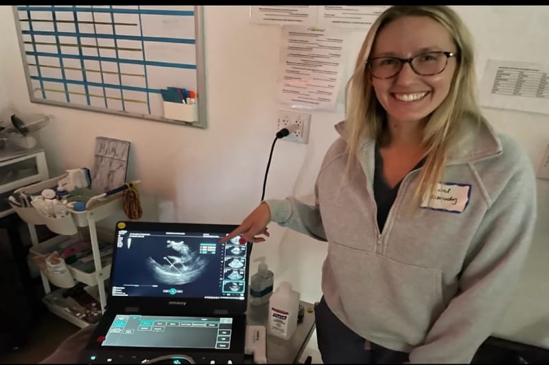Person pointing to an ultrasound machine screen at Highland Park Animal Hospital