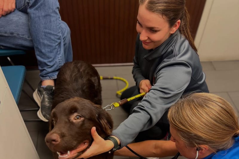 Highland Park Animal Hospital - Dallas