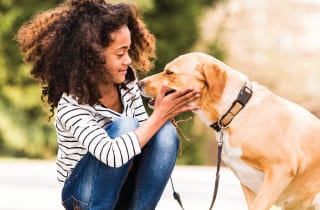 East Maryland Animal Hospital - Phoenix