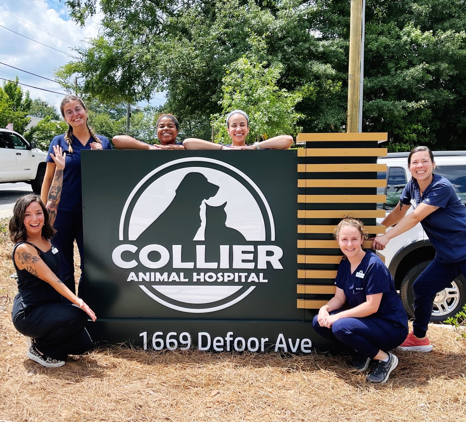 Collier Animal Hospital - Atlanta