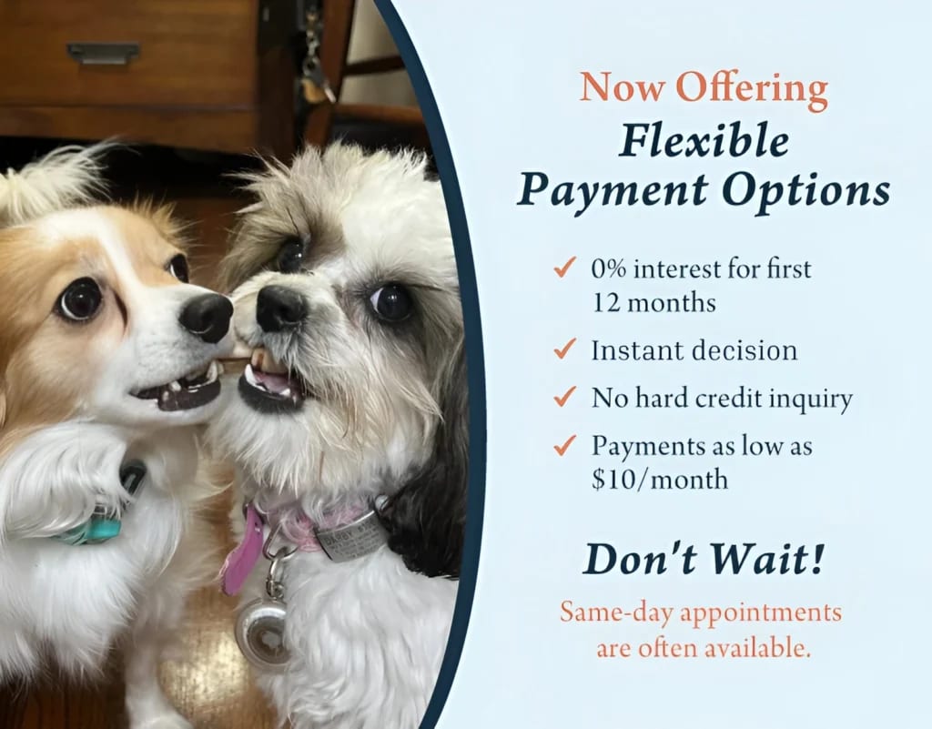 Graphic advertising flexible payment options with two small dogs and a list of terms