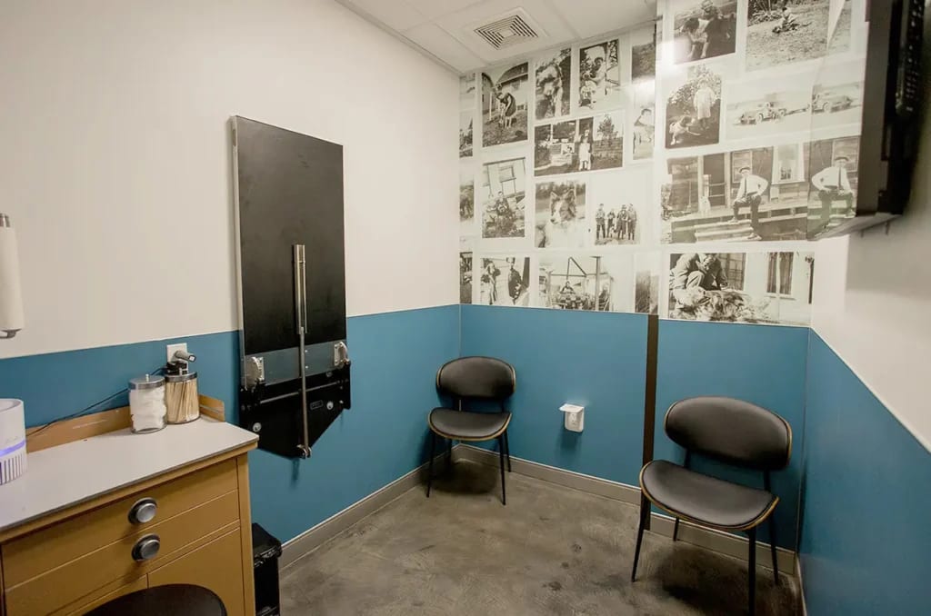 Small room at Urban Animal By Appointment with teal walls, two black chairs and a wooden cabinet