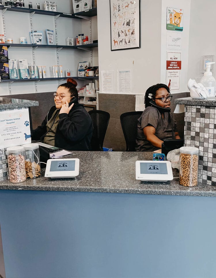 Two people wearing headsets at a speckled reception counter with glass jars and card readers