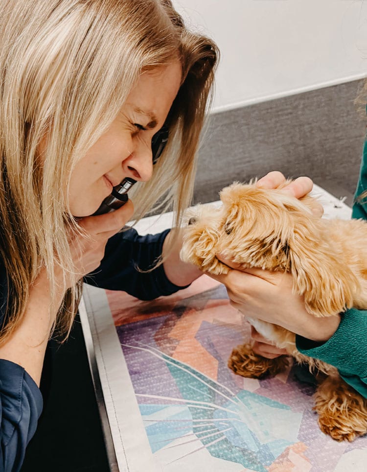 Woman holding a small black handheld instrument to her eye while looking at a fluffy tan dog on a table