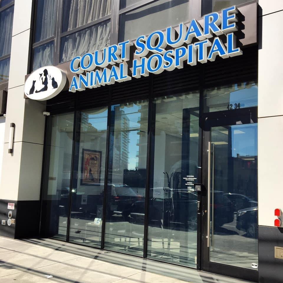 Court Square Animal Hospital - Queens