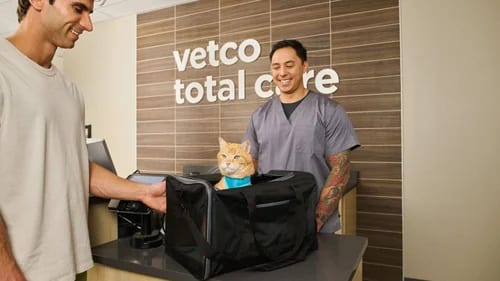 Man in grey scrubs smiling behind a counter as another man sets down a carrier holding an orange and white cat