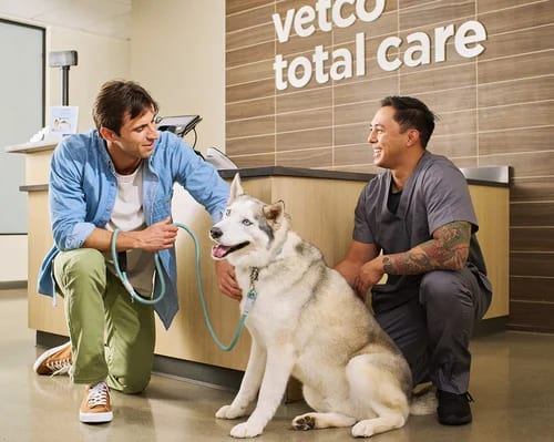 Two men crouching beside a large grey and white dog at a wood-panelled reception counter