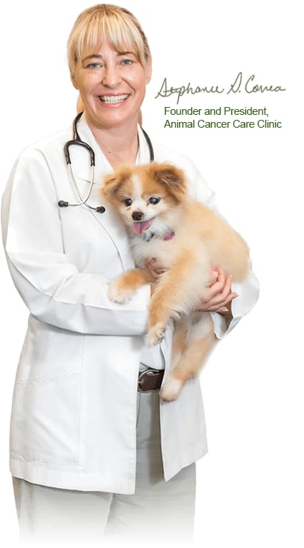 Smiling woman in a white coat with a stethoscope holding a fluffy tan and white dog, at Animal Cancer Care Clinic