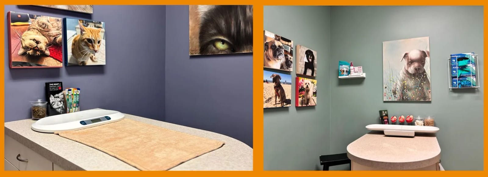 Two small rooms at My Vet Animal Hospital with framed pet photos and a counter holding a small scale