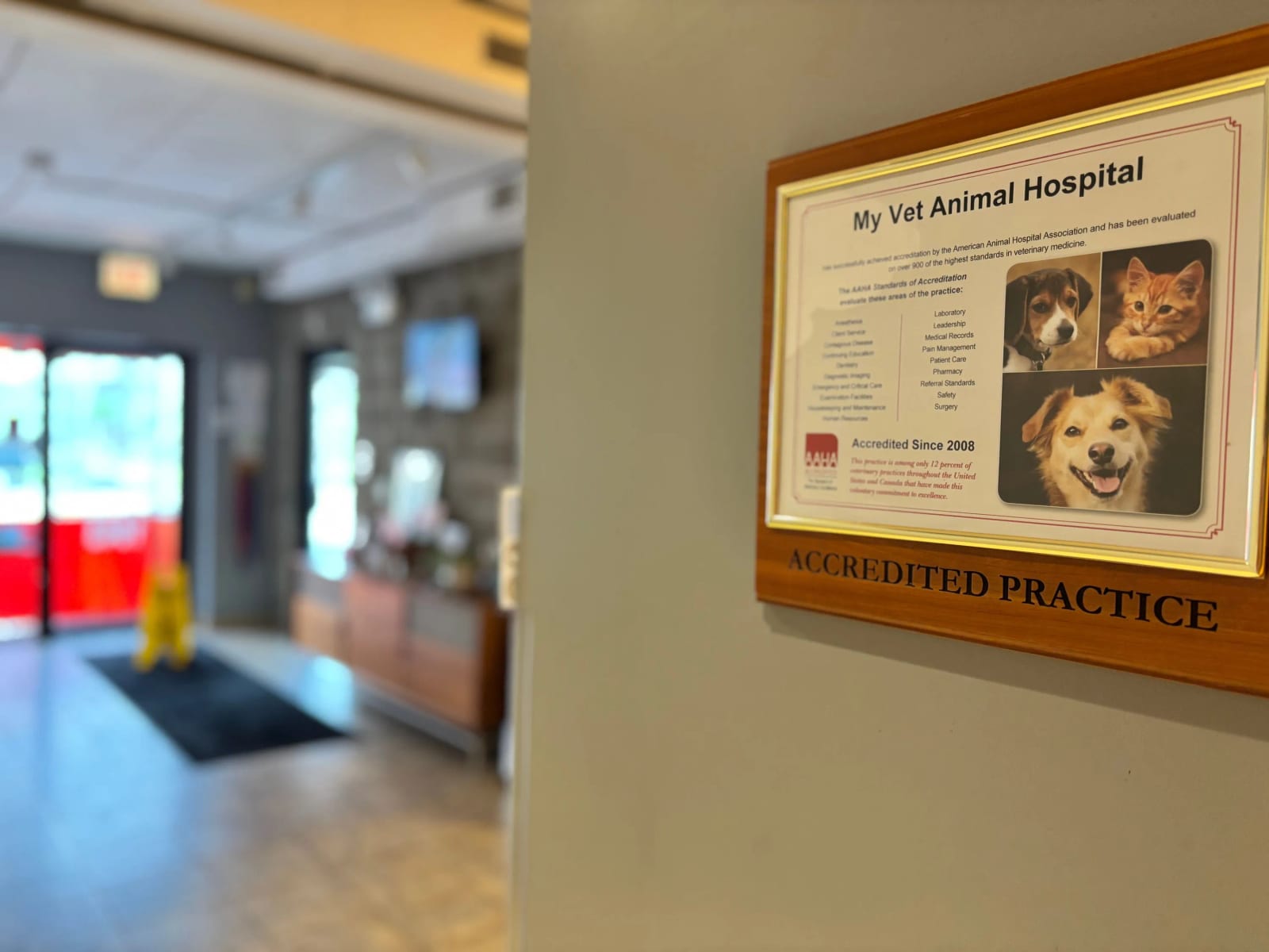 Accredited Practice plaque on a wall at My Vet Animal Hospital with a reception area behind