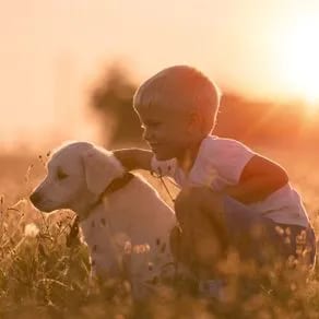 Young child with light hair kneeling in tall grass beside a pale golden puppy in warm sunset light