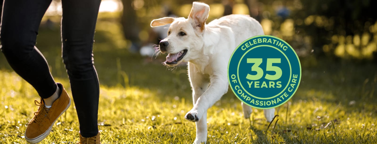White dog running on grass beside a person's legs with a round badge reading Celebrating 35 Years