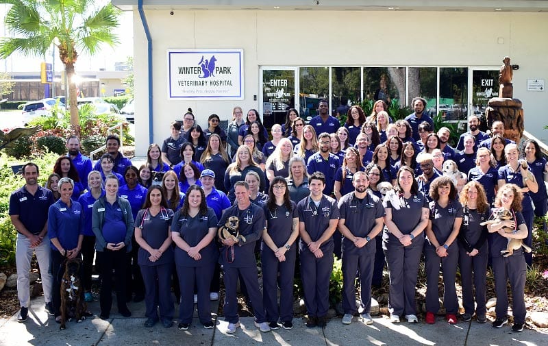 Large group of people in navy scrubs posing outside a building with a sign, some holding small dogs