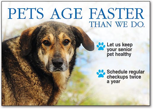 Postcard reading Pets age faster than we do, with a senior dog and two paw-print bullet points
