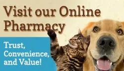 Banner reading Visit our Online Pharmacy with a cat and a golden dog
