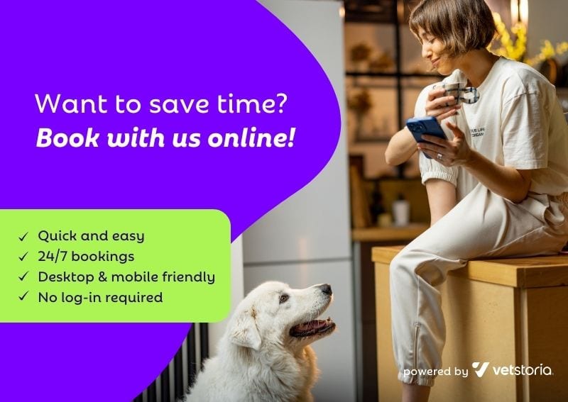 Banner inviting visitors to book online, with a woman holding a phone beside a large white dog