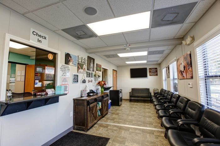 Denver Animal Emergency waiting room with a Check In window, rows of black chairs and a wall-mounted TV