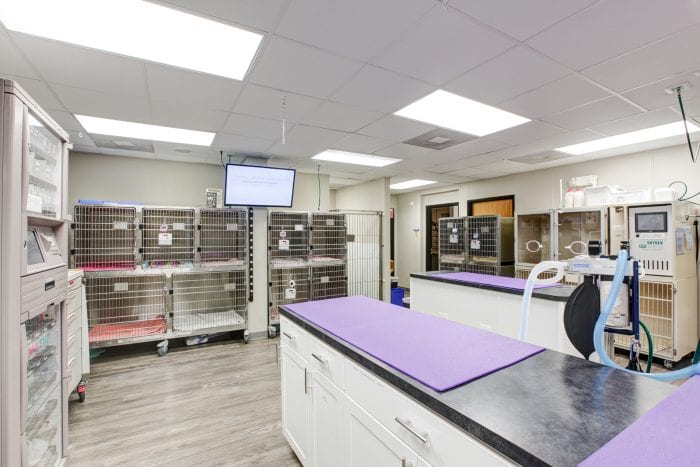 Denver Animal Emergency treatment area with purple counter pads, stainless steel cages and a wall monitor