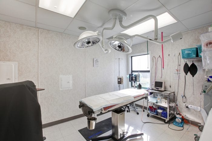 Denver Animal Emergency treatment room with twin overhead lights and a padded table