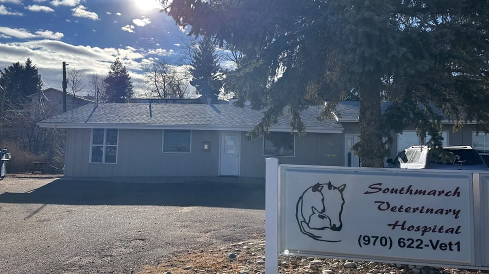 Southmarch Veterinary Hospital single-story building with a sign showing a horse drawing beside a gravel lot