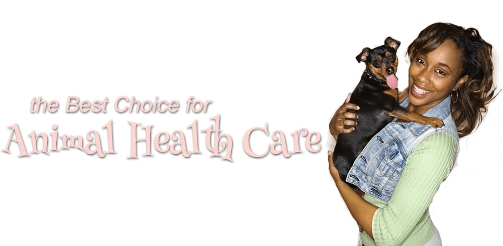 Banner reading the Best Choice for Animal Health Care, with a smiling woman holding a small black dog