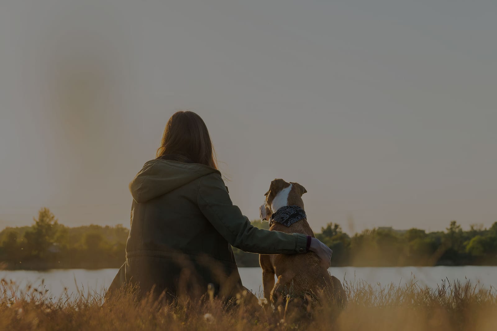 Person seen from behind sitting in tall grass beside a brown and white dog, looking out over a lake