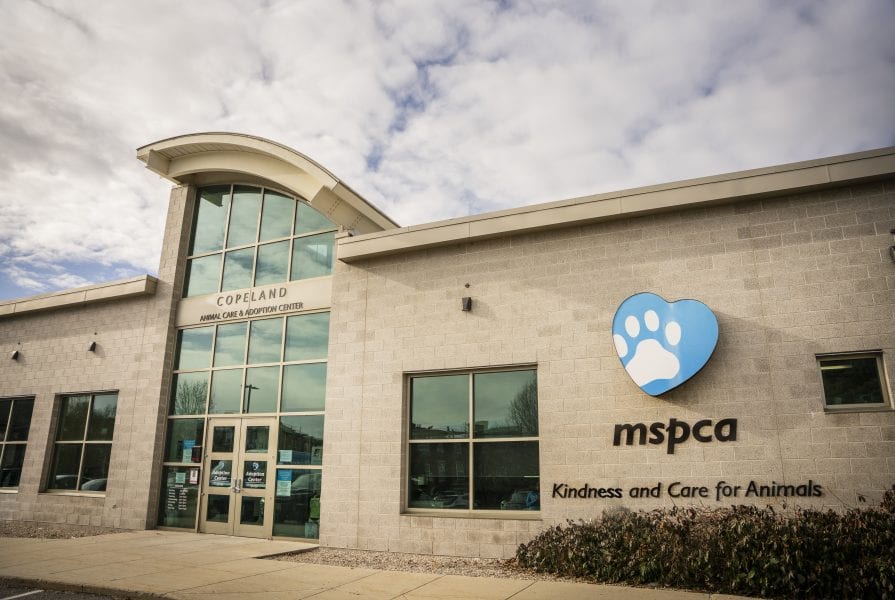 MSPCA Animal Care and Adoption Center - Boston