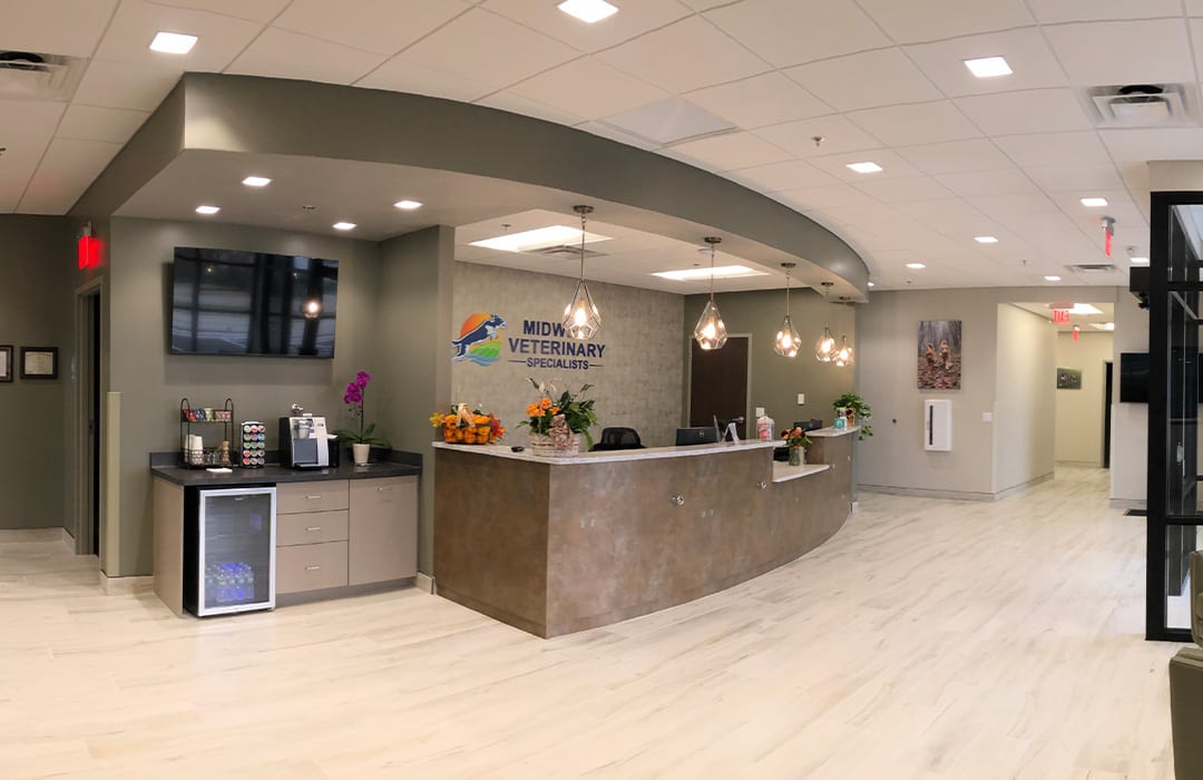 Midwest Veterinary Specialists - Greenfield