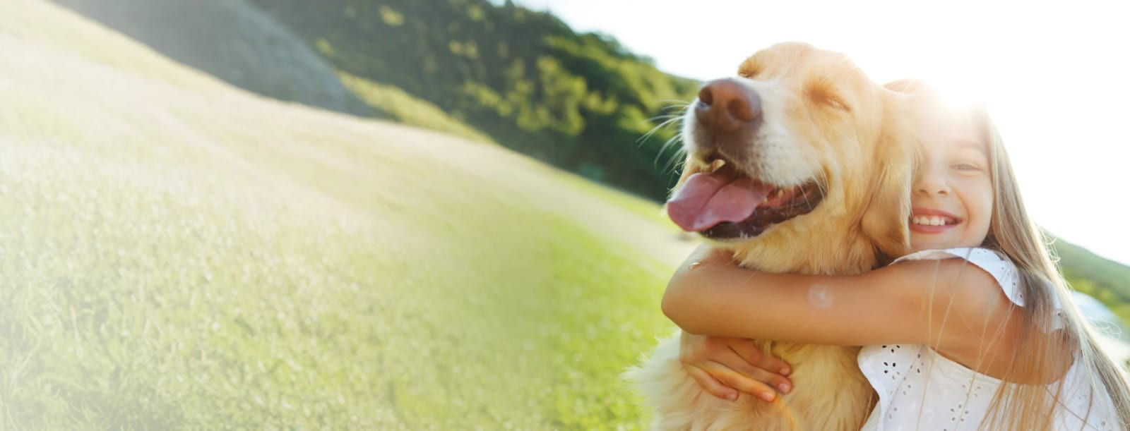 Child hugging a golden dog on a sunny grassy hillside