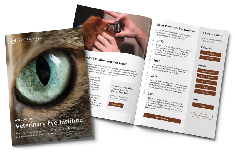 Welcome booklet mockup with a close-up cat eye on the cover and an open inside page of text