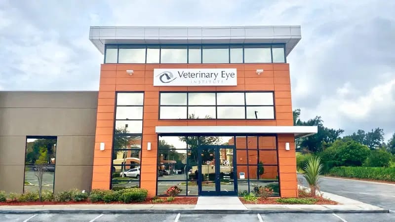 Orange-paneled two-storey building with a Veterinary Eye sign, glass doors and a parking lot