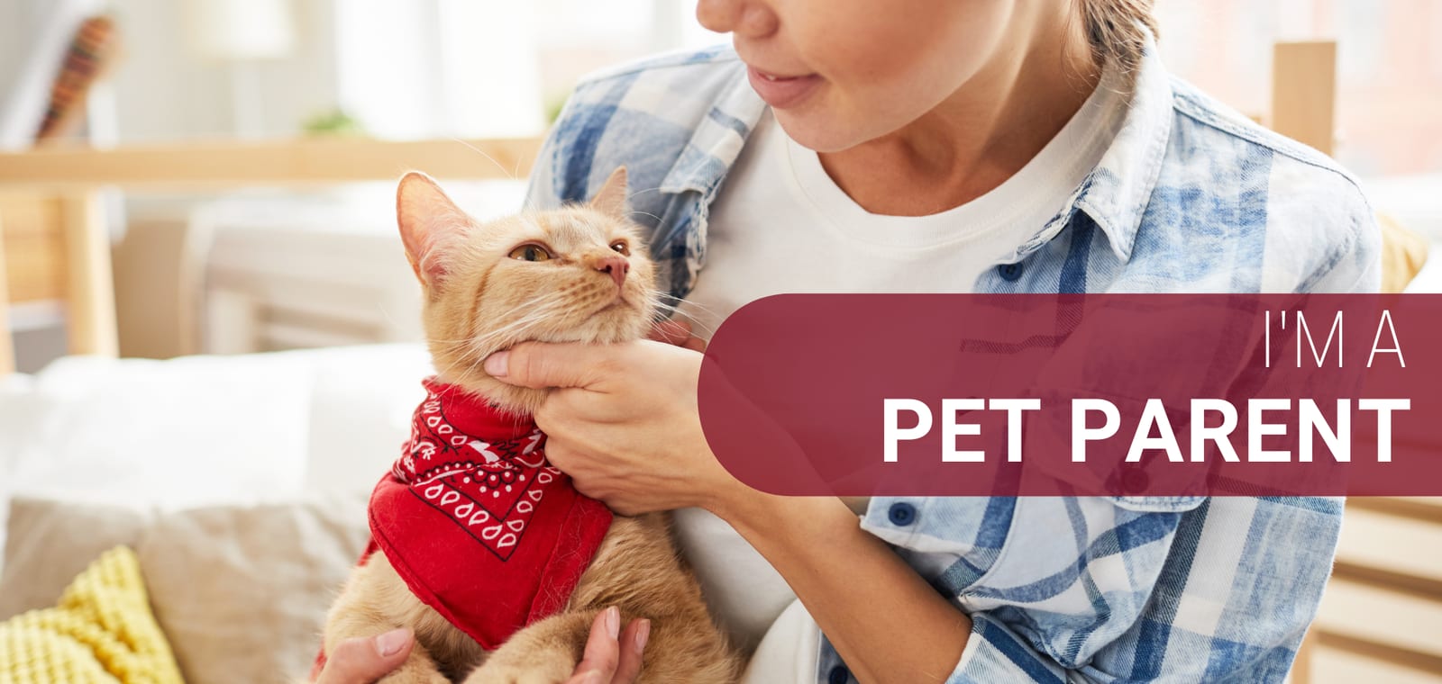 Woman holding a ginger cat in a red patterned bandana beside the text I'M A PET PARENT