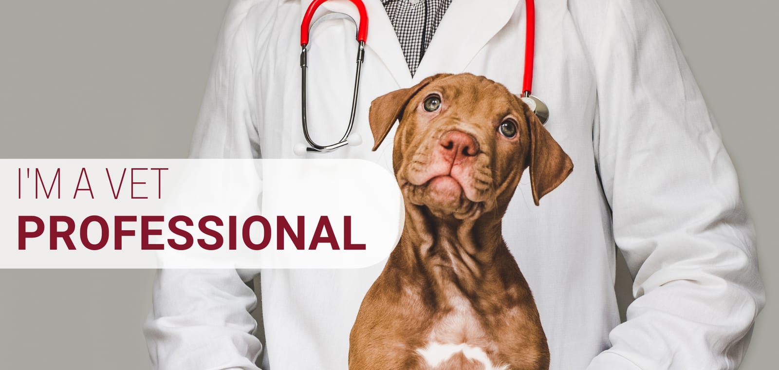 Person in a white coat holding a brown puppy with the text I'M A VET PROFESSIONAL