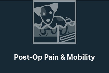 Dark navy tile with a grey line illustration of a dog in a tank and the text Post-Op Pain & Mobility