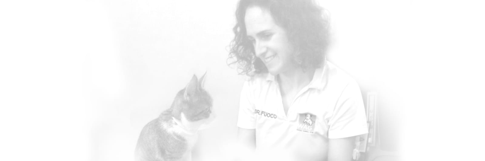 Faded photo of a smiling woman with curly hair in a white polo looking at a grey and white cat