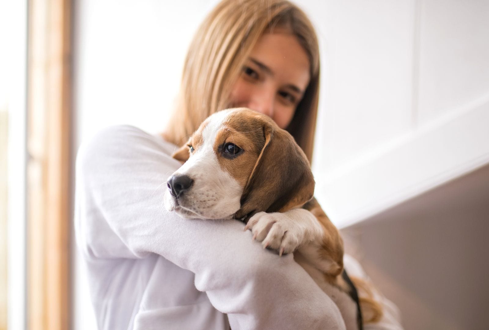 Woman in a white sweater hugging a brown and white puppy
