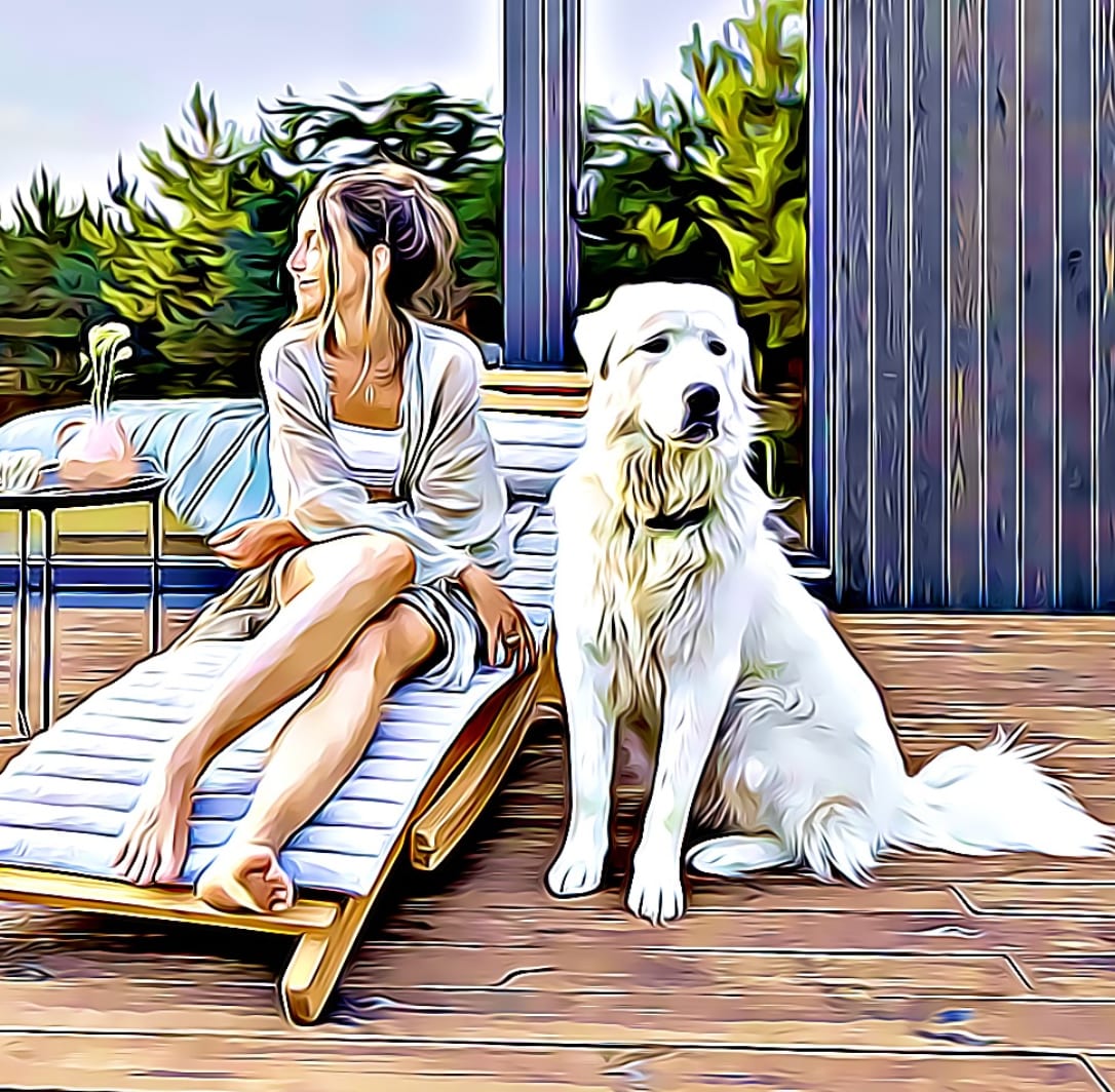 Stylized illustration of a woman on a wooden lounger beside a large white dog on a deck