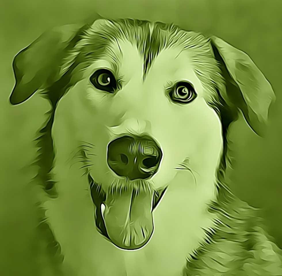 Stylized green-tinted close-up of a dog's face with its tongue out