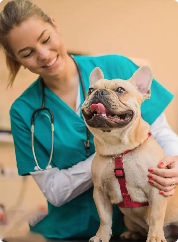 Smiling woman in teal scrubs with a stethoscope beside a tan dog wearing a red harness
